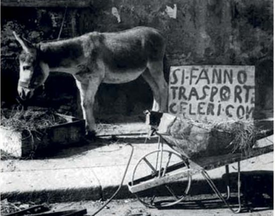 a donkey in front of a wheelbarrow with the inscription “quick delivery”.