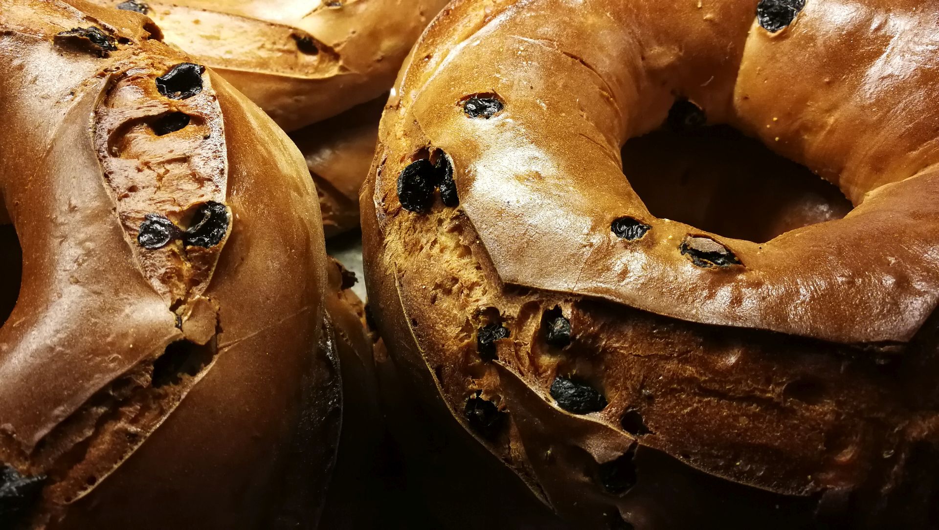 il buccellato è un dolce con uvetta, a forma di ciambella, ben dorato