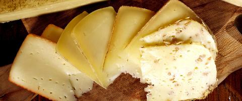 Formaggio Pecorino Garfagnana e Colline Lucchesi Enogastronomia Formaggi