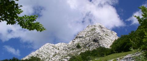 Alpi Apuane Alpeggio del Puntato